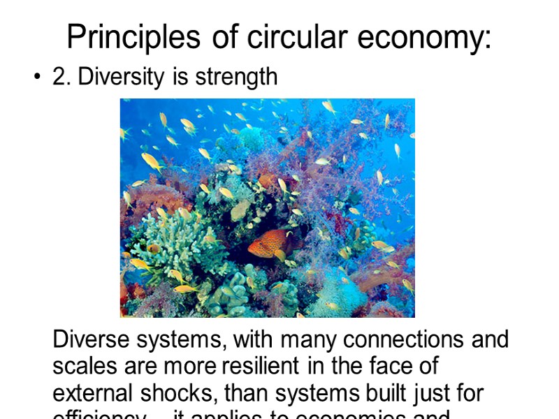 Principles of circular economy: 2. Diversity is strength Principles of circular economy: 2. Diversity is strength